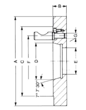 Bild Stahlflansch DIN55029 250mm KK 8 RÖHM-1