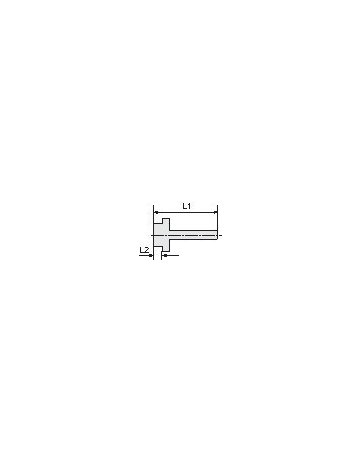 Bild Einschraubschlauchtülle Messing, AG G 1" ", LW 25 SW 38mm RIEGLER-1