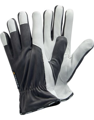 Bild Handschuh 115, Ziegenleder, Gr. 10 TEGERA-1