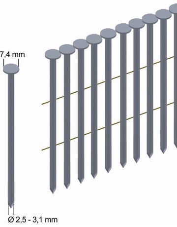 Bild Rundkopfnägel, 3000 St. RK31/80BK Prebe na - PREBENA-0