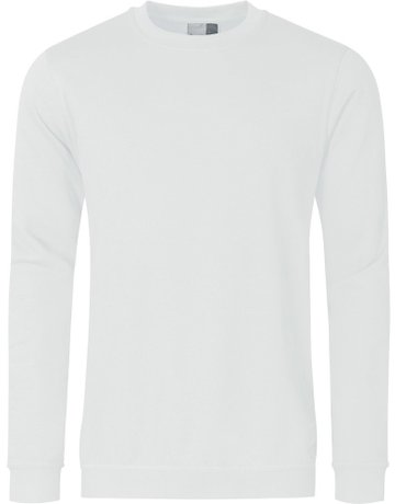 Bild Sweatshirt, Gr. L, graphite - Promodoro-0