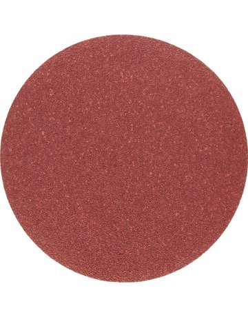 Bild Schleifscheibe 150mm K 120 10 St. für BTS 150 - holzstar-0