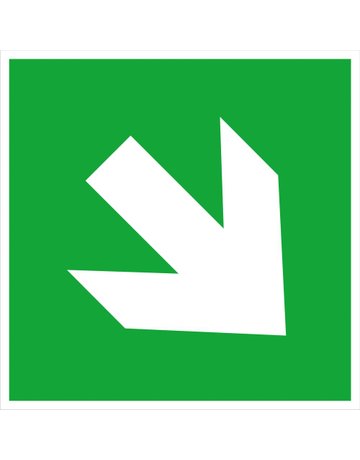 Bild Fluchtwegschild Alu B200xH200 mm Pfeil aufwärts/abwärts langnachleuchtend - Safety Marking-0