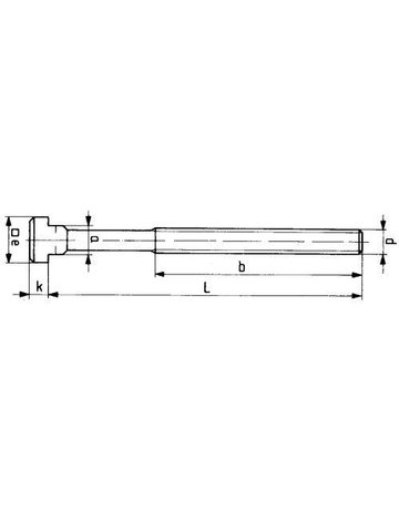 Bild Schraube für T-Nuten DIN787 M10x10x100mm komplett AMF-1