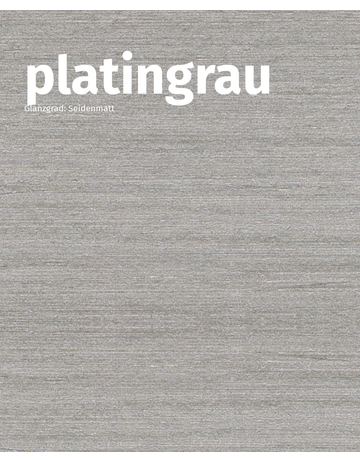 Bild HK-Lasur 3in1 Grey-Protect platingrau (FT-26788) 2.5 l - Remmers-1