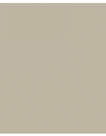 Bild INDULINE M-425 HELLGRAU 5 ltr. - Remmers-1