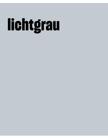 Bild MultiSil LICHTGRAU 310 ml - Remmers-1
