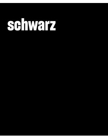 Bild MultiSil SCHWARZ 310 ml - Remmers-1
