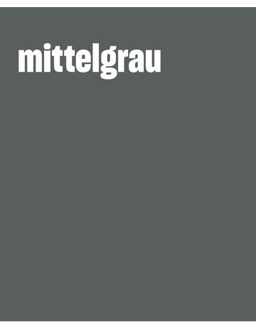 Bild MultiSil MITTELGRAU 310 ml - Remmers-1