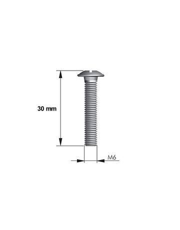 Bild Schraube mit Kombi-Kreuzschlitz M6 x 30 mm - Topform-1