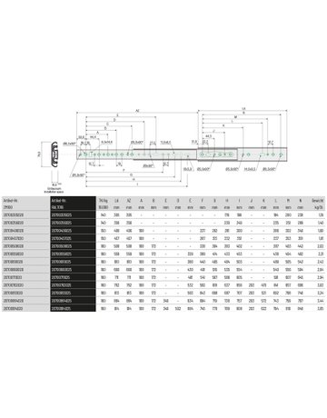 Bild Vollauszug 070 140 kg/Pr Länge 356 mm RAL7016, Zuhaltung - Schock Teleskopschienen-1