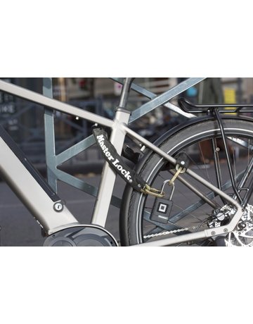 Bild Biometrisches Vorhängeschloss 4901EURDLH - Master Lock-4