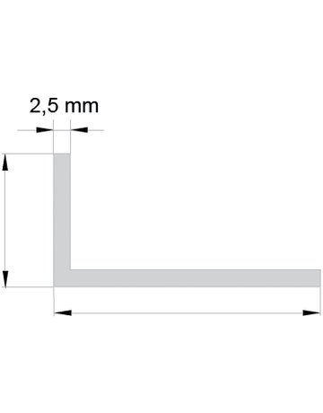 Bild PVC - Winkelprofil 60x60x2,5 mm eckig - EXTE-1