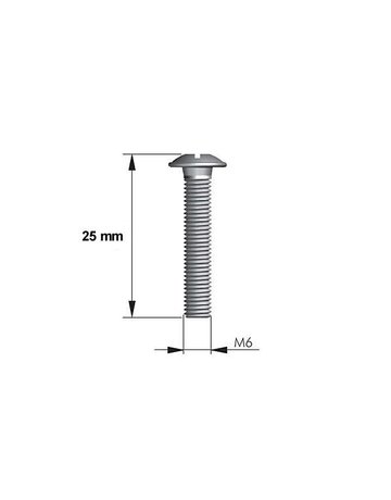 Bild Schraube mit Kombi-Kreuzschlitz M6 x 25 mm - Topform-1