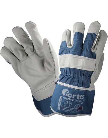 Bild Winterhandsch.FreezerPlusGr. 12, FORTIS-0