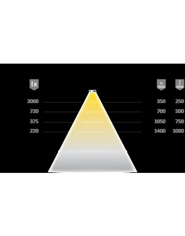 Bild Versa Inside 1200 24VDC mw 2x128LED/m L=50m 8W/m Konfektionsrolle - Halemeier-2