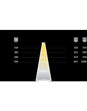 Bild MiniSpot Edelstahl Optik ww 12VDC 1,0W LTG 1,8m M1 - Halemeier-2