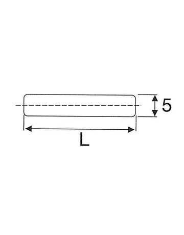 Bild Einsteckbodenträger ohne Rand Ø 5 x 24mm Stahl verzinkt - Topform-2
