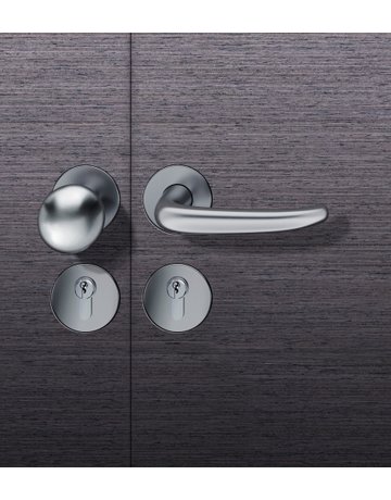 FS Wechselgarnitur 79 1053 Rosette rund ,PZ,9,DL,ER,TS45-54 - FSB