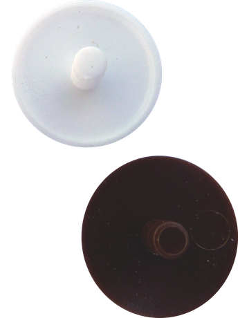 Abdeckkappe hellgrau zu Spax - Schrauben mit Innenloch