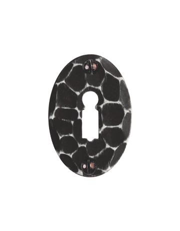 Rahmenschlüsselrosette 269 BB oval EI Rowe - Scheitter