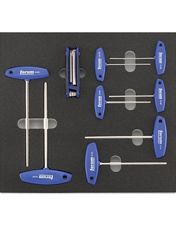 Modul 2017 2/3 Quergriff Hex FORUM