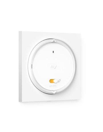 Amy 1 RS100 io Wandsender + Rahmen - Somfy