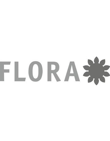 Bild Kehrboy Compact B 30 cm, mit Besen - FLORA-1