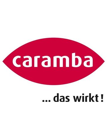 Bild MoS2-Rostlöser 500ml Caramba-1