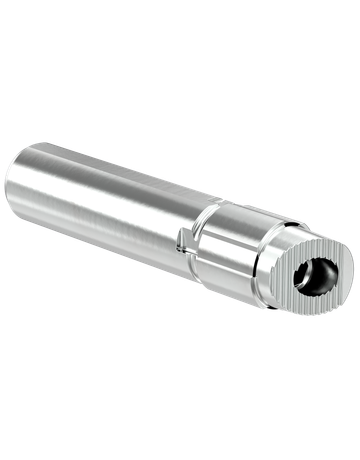 Einbohrzapfen ferguard für Bandsich.