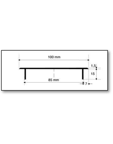 Bild Stegblech 100x300 mm, F1 Schlitzlochung 30x5 mm - Neutral-1