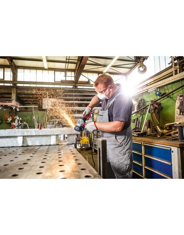 Bild Winkelschleifer L 13-10 125-EC 230/CEE - Flex-4