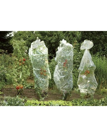 Bild Tomatenreifefolie Classic 10x0,65m,Endlo sschlauch gel. gel. - floraworld-1