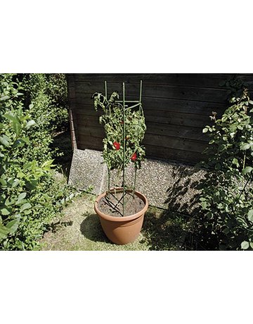Bild Tomatenreifeturm Classic Ø 35-40cm,150x3 0cm grün - floraworld-1
