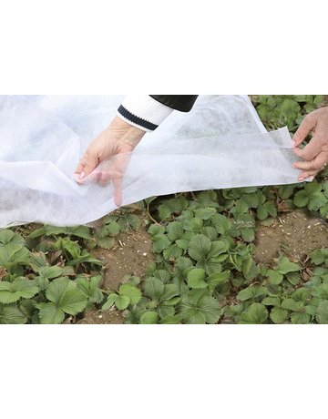 Bild Garten-/Wintervlies Clas. 50x2m,weiß Rol le 17g/m2 - floraworld-1