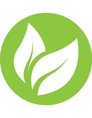 Bild Farbwanne Kunststoff 27x36cm Nölle PROFI BRUSH-2