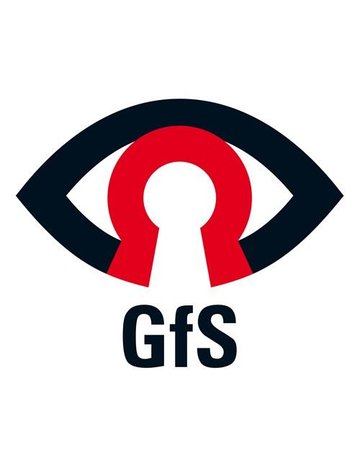 Bild Schwenk-Türwächter vorgerichtet für Profilhalbzylinder RAL 6029 - GfS-1