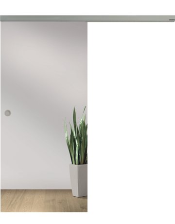 Ganzglas Schiebetüre Float hell Maße: 2183 x 1060 x 8 mm - Licht & Harmonie